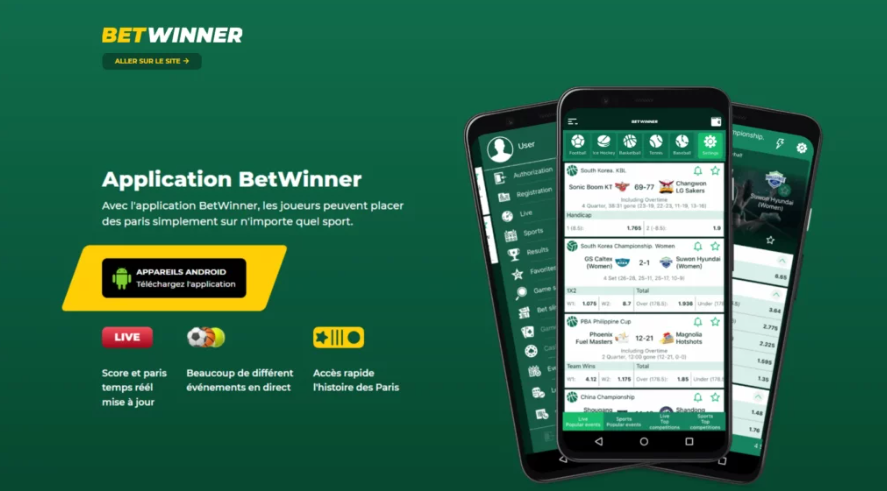 Aviator Betwinner A Comprehensive Guide to Winning Strategies